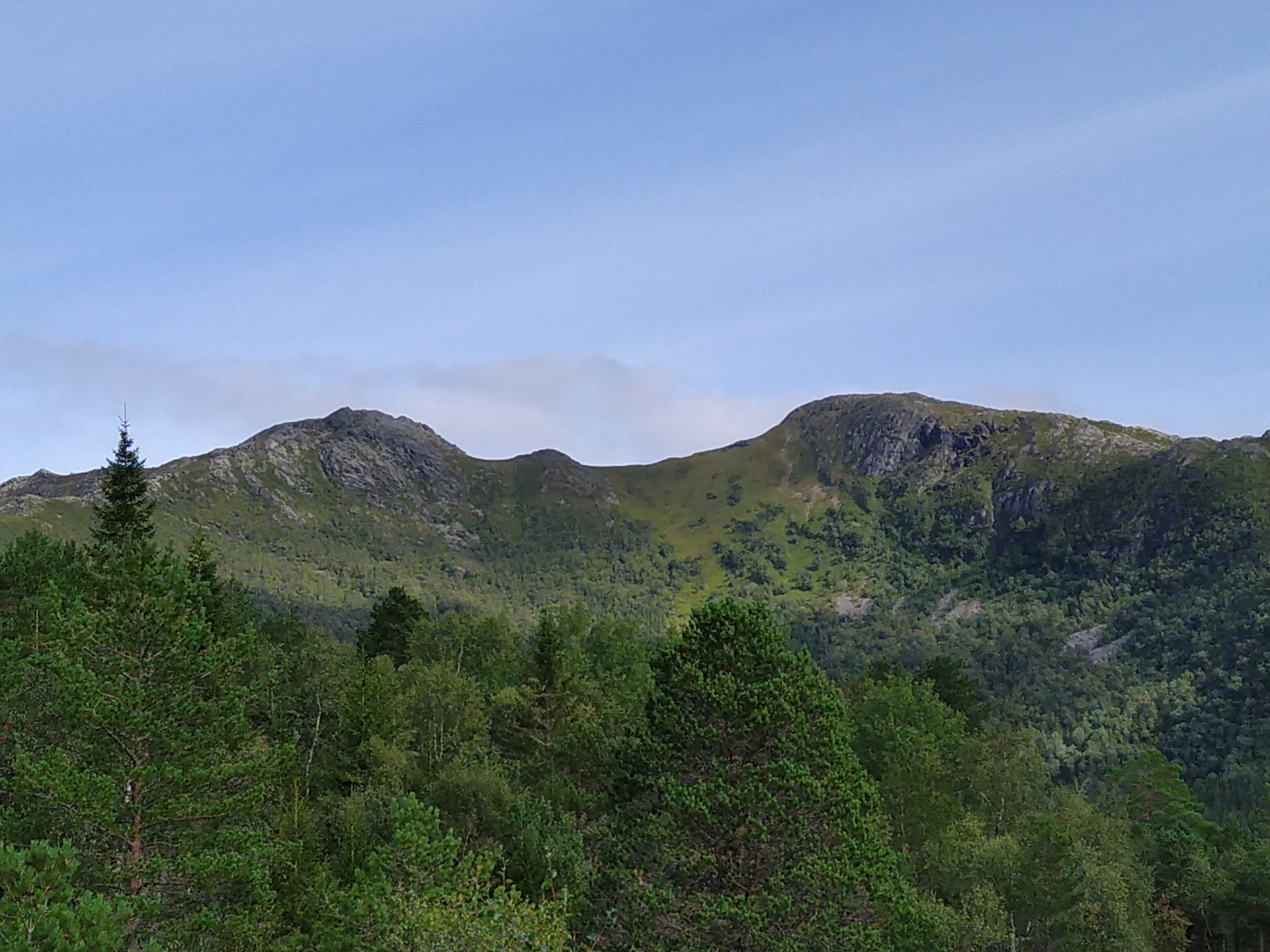 Grønn fjellside med skog og steinete topper under blå himmel
